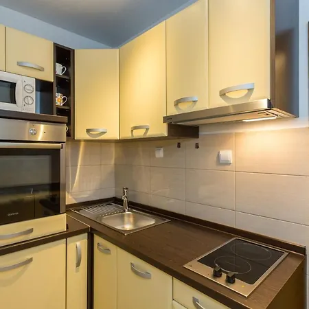 Apartment Perovic *